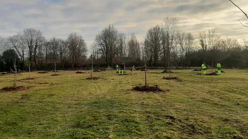 Arnage : le verger de l’espace Tertifume prend forme